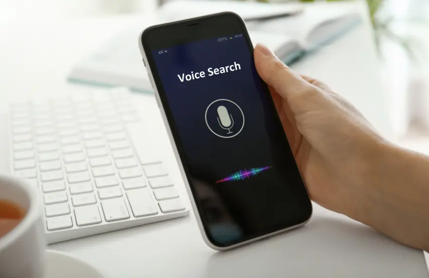 Voice search-blog post